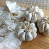 Chicken with 40 (odd) cloves of garlic