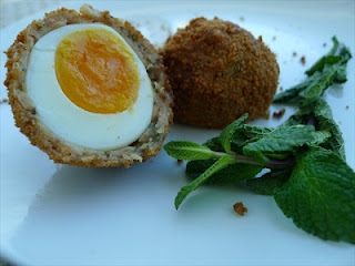 Chicken or Egg Scotch Eggs- ‘Tree of Life’