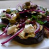 Griddled Eggplant with Labna, Pomegranate, Red Onion, Pistachio and Mint