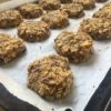 Evie Cookies (Dairy Free Oat, Dried Fruit and Coconut Cookies)